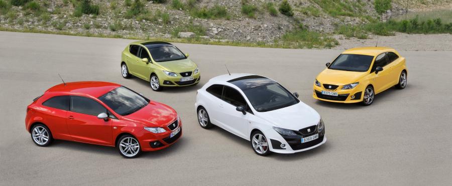  Seat Ibiza Cupra 2009 года  (фото 57 из 84)